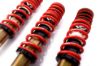 Picture of MTS Technik Coilover Set - MTSGWHO01-S