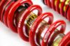 Picture of MTS Technik Coilover Set - MTSGWLE01