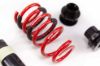 Picture of MTS Technik Coilover Set - MTSGWMA05