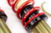 Picture of MTS Technik Coilover Set - MTSGWMM01