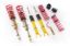 Picture of MTS Technik Coilover Set - MTSGWNI01