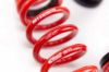 Picture of MTS Technik Coilover Set - MTSGWNI01