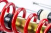 Picture of MTS Technik Coilover Set - MTSGWNI02