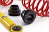 Picture of MTS Technik Coilover Set - MTSGWOP16