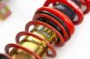 Picture of MTS Technik Coilover Set - MTSGWTO01