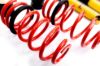 Picture of MTS Technik Coilover Set - MTSGWVO02