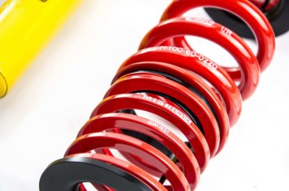 Picture of MTS Technik Coilover Set - MTSGWVW03