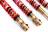Picture of MTS Technik Coilover Set - MTSGWVW08-C