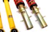 Picture of MTS Technik Coilover Set - MTSGWVW10-C