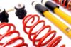 Picture of MTS Technik Coilover Set - MTSGWVW10-C