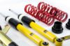 Picture of MTS Technik Coilover Set - MTSGWVW102
