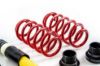 Picture of MTS Technik Coilover Set - MTSGWVW104