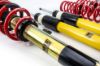 Picture of MTS Technik Coilover Set - MTSGWVW109