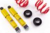 Picture of MTS Technik Coilover Set - MTSGWVW13