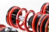 Picture of MTS Technik Coilover Set - MTSGWVW14