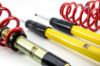 Picture of MTS Technik Coilover Set - MTSGWVW18