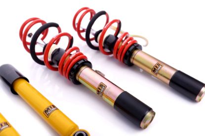 Picture of MTS Technik Coilover Set - MTSGWVW30-S