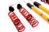 Picture of MTS Technik Coilover Set - MTSGWVW36-S
