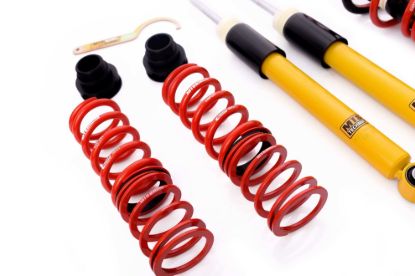 Picture of MTS Technik Coilover Set - MTSGWVW36-S