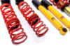 Picture of MTS Technik Coilover Set - MTSGWVW50