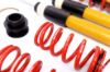 Picture of MTS Technik Coilover Set - MTSGWVW52