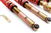 Picture of MTS Technik Coilover Set - MTSGWVW54-S