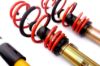 Picture of MTS Technik Coilover Set - MTSGWVW56