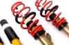 Picture of MTS Technik Coilover Set - MTSGWVW56-S
