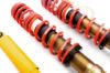 Picture of MTS Technik Coilover Set - MTSGWVW58