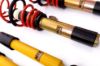 Picture of MTS Technik Coilover Set - MTSGWVW60