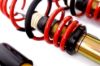 Picture of MTS Technik Coilover Set - MTSGWVW60