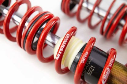 Picture of MTS Technik Coilover Set - MTSGWVW62