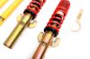 Picture of MTS Technik Coilover Set - MTSGWVW70-S