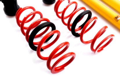 Picture of MTS Technik Coilover Set - MTSGWVW71
