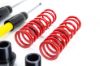 Picture of MTS Technik Coilover Set - MTSGWVW87-S