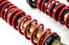 Picture of MTS Technik Coilover Set - MTSGWVW90