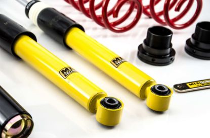 Picture of MTS Technik Coilover Set - MTSGWVW94