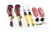 Picture of MTS Technik Coilover Set - MTSGWVW96