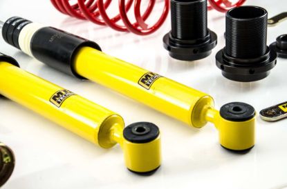 Picture of MTS Technik Coilover Set - MTSGWVW97