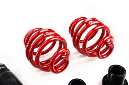 Picture of MTS Technik Coilover Set - XMTSGWBM01-C