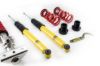 Picture of MTS Technik Coilover Set - XMTSGWBM01-S