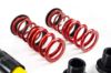 Picture of MTS Technik Coilover Set - XMTSGWBM01-S