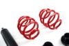Picture of MTS Technik Coilover Set - XMTSGWBM02