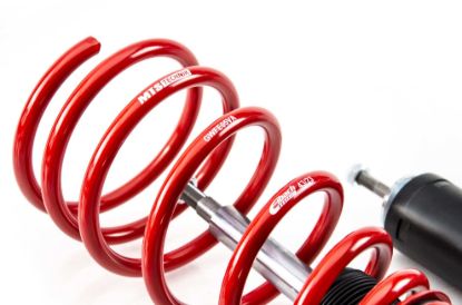 Picture of MTS Technik Coilover Set - XMTSGWBM02-C