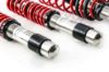 Picture of MTS Technik Coilover Set - XMTSGWBM04-S