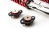 Picture of MTS Technik Coilover Set - XMTSGWBM100