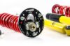 Picture of MTS Technik Coilover Set - XMTSGWBM100