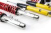Picture of MTS Technik Coilover Set - XMTSGWBM100