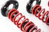 Picture of MTS Technik Coilover Set - XMTSGWBM101-S