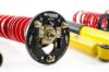 Picture of MTS Technik Coilover Set - XMTSGWBM105-S